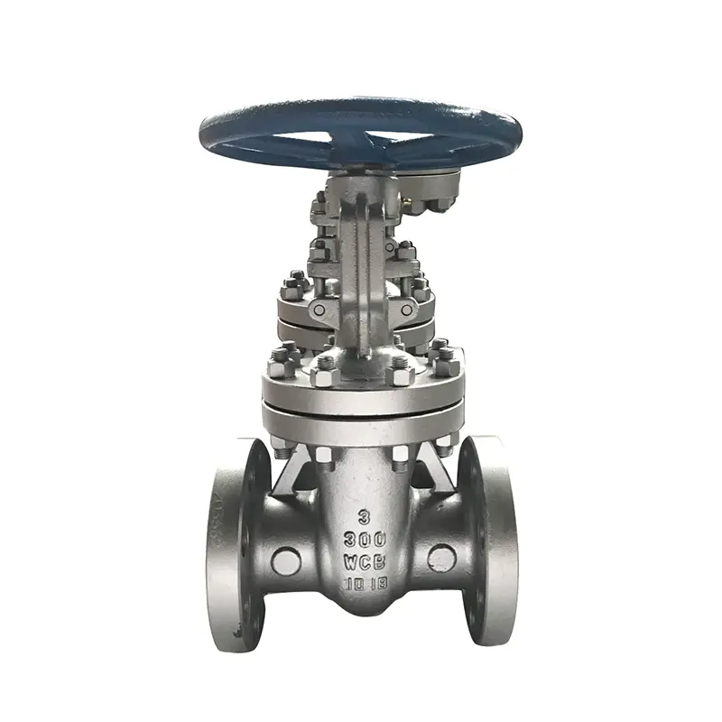 Toekomstige ontwikkelingstrends van Gate Valve